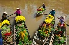 cho tet mien tay