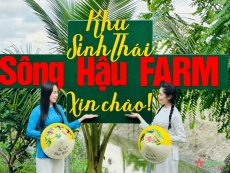 y ty lao cai