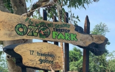 ozo treetop park